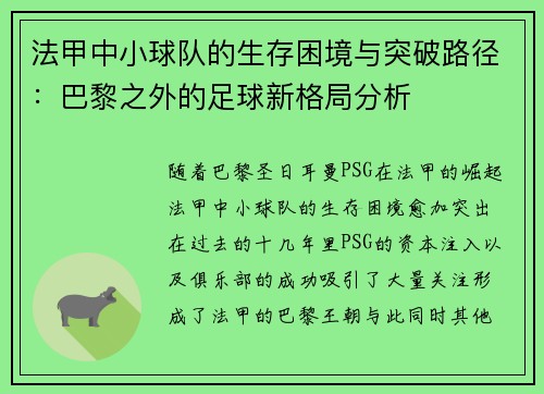 法甲中小球队的生存困境与突破路径：巴黎之外的足球新格局分析