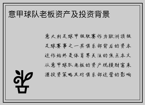 意甲球队老板资产及投资背景