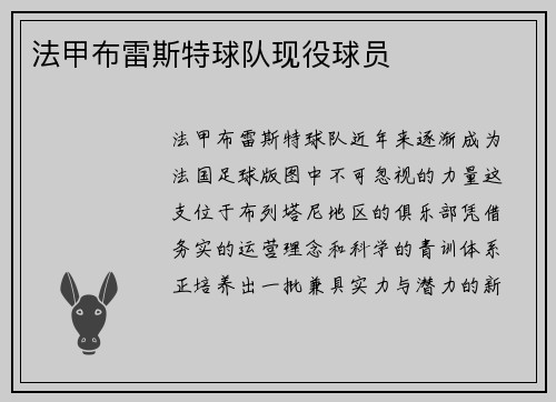法甲布雷斯特球队现役球员