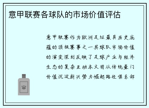 意甲联赛各球队的市场价值评估